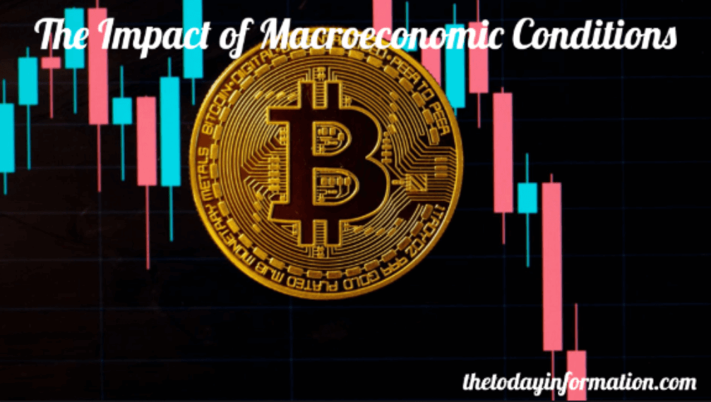 The Impact of Macroeconomic Conditions