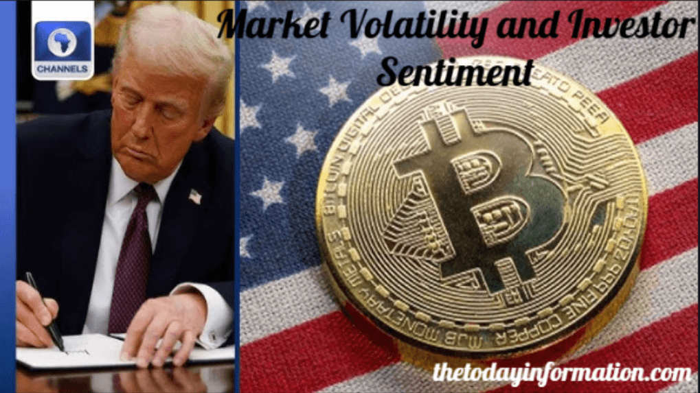 Market Volatility and Investor Sentiment