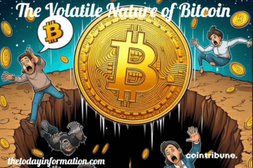 The Volatile Nature of Bitcoin